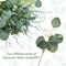 Mixed Eucalyptus Leaves Stems Bulk Silver Dollar Artificial Greenery Leaves Stems Fake Plant Branches for Wedding Bridal Bouquets, Floral Arrangements, Centerpiece, Home Decor(Green,150 Pcs)
